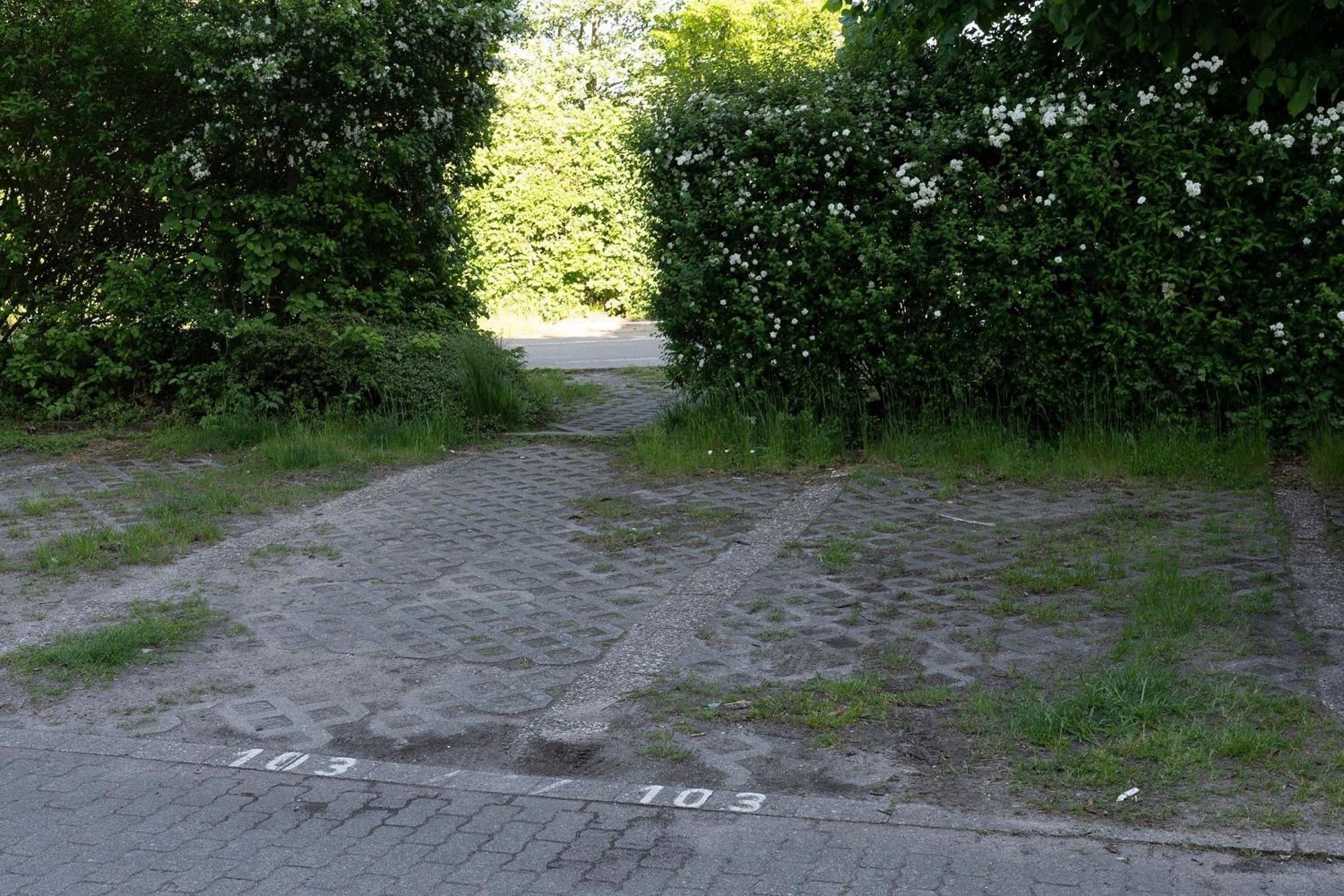 ダーメBerolina Sonnentauアパートメント エクステリア 写真